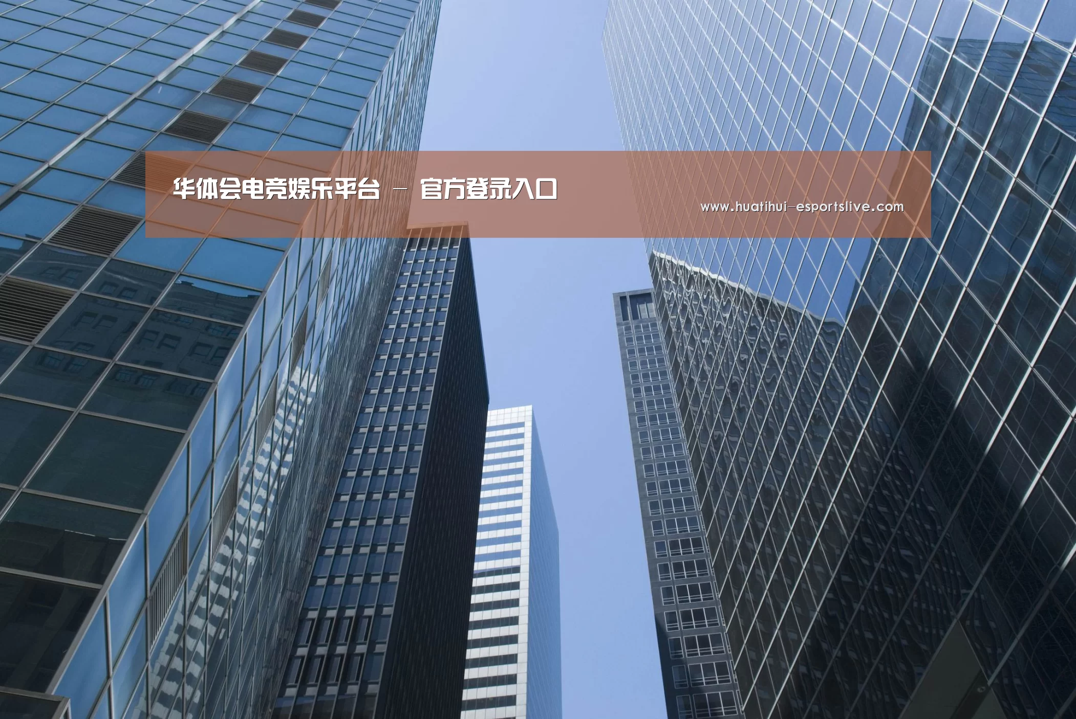 华体会电竞APP公司简介 