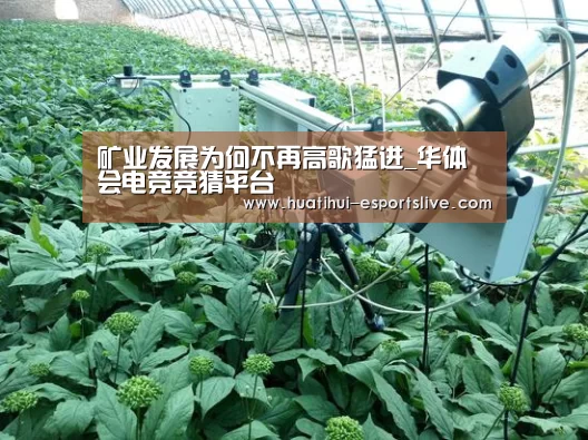 矿业发展为何不再高歌猛进_华体会电竞竞猜平台(图3) 华体会电竞竞猜平台