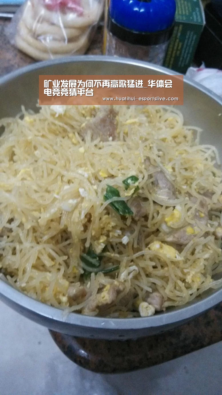 矿业发展为何不再高歌猛进_华体会电竞竞猜平台(图4) 华体会电竞官网