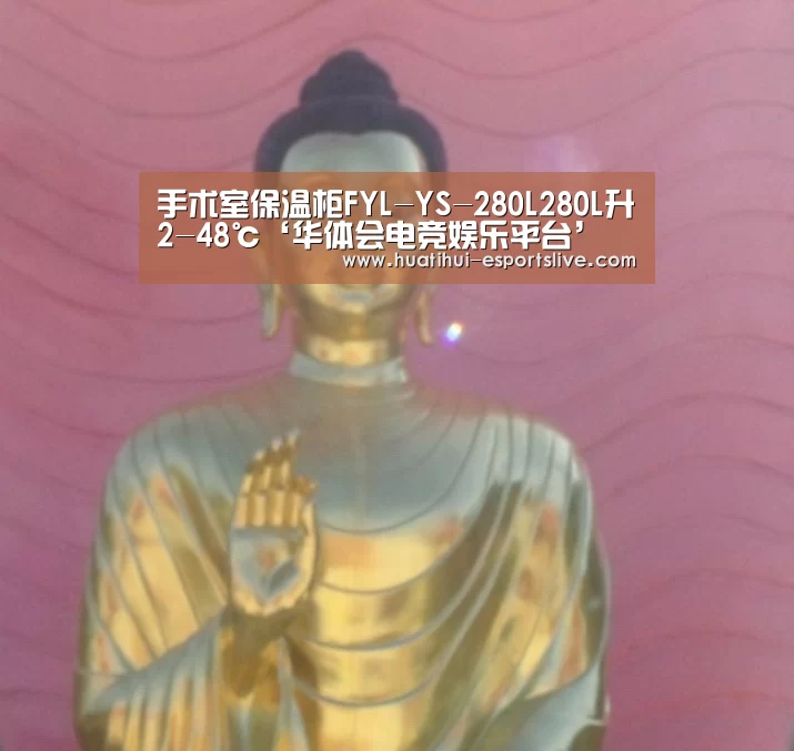 手术室保温柜FYL-YS-280L280L升2-48℃‘华体会电竞娱乐平台’(图2) 华体会电竞APP