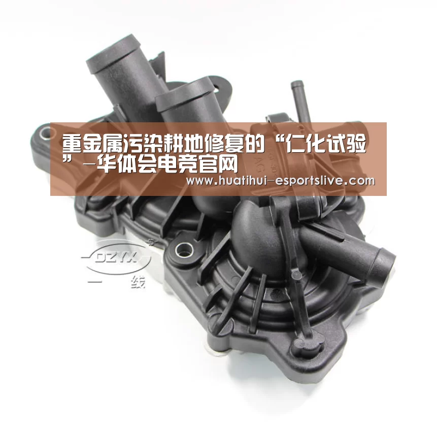 华体会电竞娱乐平台