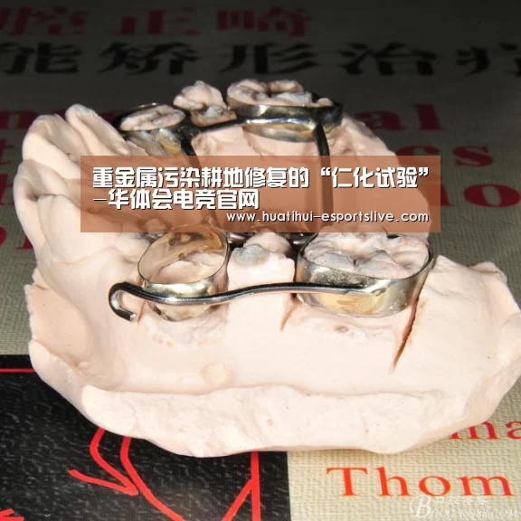 华体会电竞娱乐平台