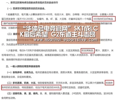 “华体会电竞官网”SKT成LCK最后希望 G2东道主斗志昂然(图2) 华体会电竞APP