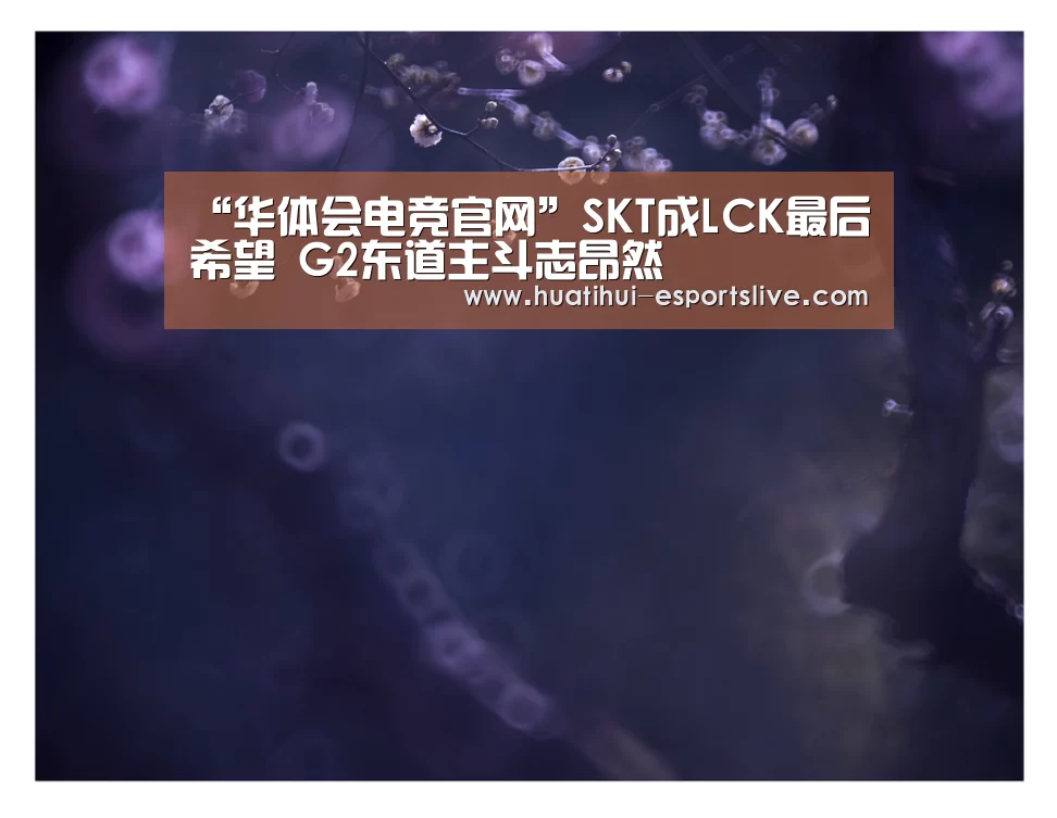 “华体会电竞官网”SKT成LCK最后希望