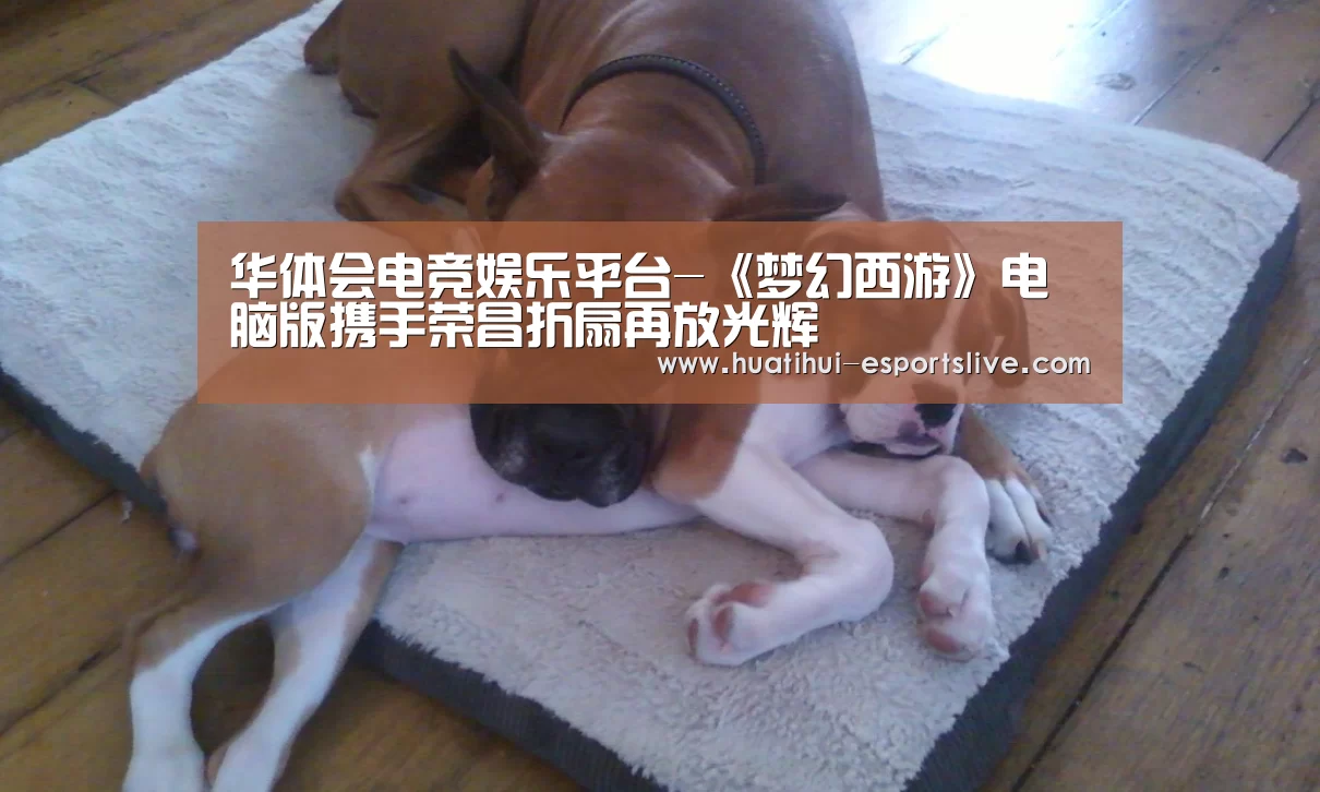 华体会电竞娱乐平台-《梦幻西游》电脑版携