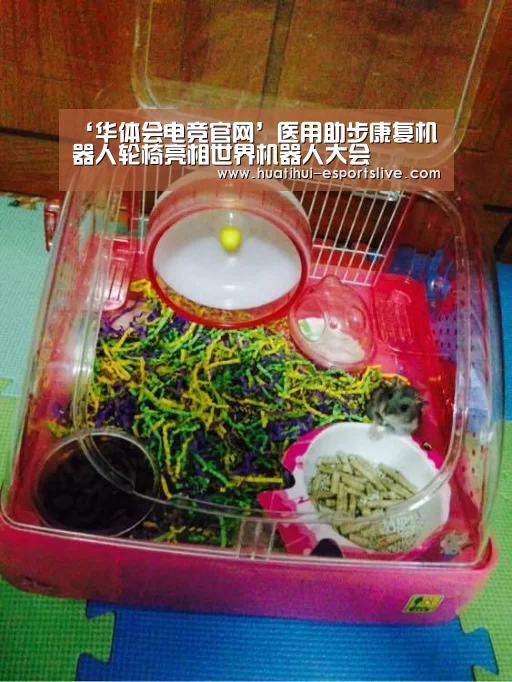 华体会电竞娱乐平台