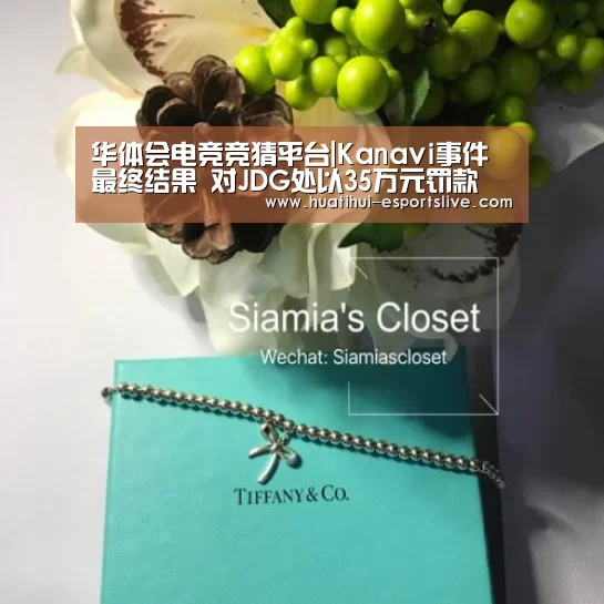 华体会电竞竞猜平台|Kanavi事件最终结果 对JDG处以35万元罚款(图1) 华体会电竞竞猜平台