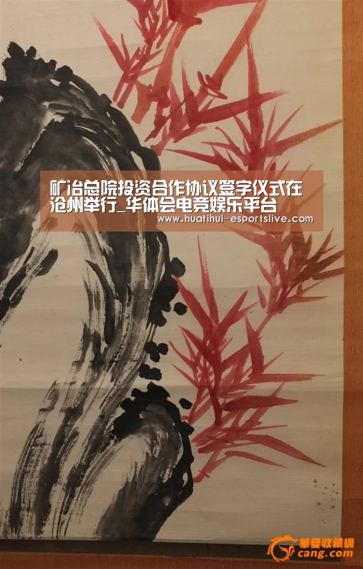 矿冶总院投资合作协议签字仪式在沧州举行_华体会电竞娱乐平台(图4) 华体会电竞APP
