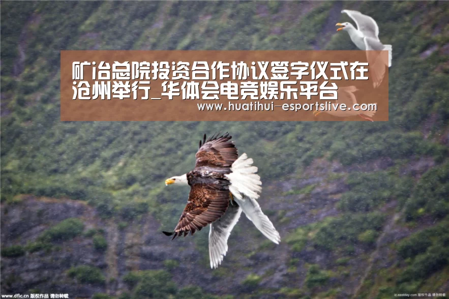 矿冶总院投资合作协议签字仪式在沧州举行_华体会电竞娱乐平台(图3) 华体会电竞官网