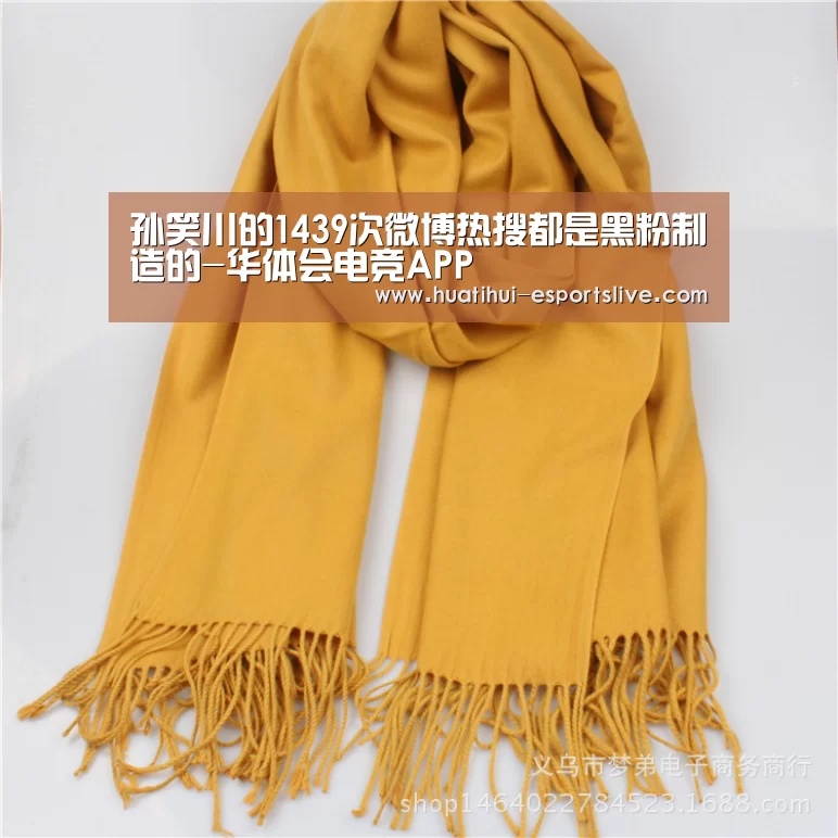 孙笑川的1439次微博热搜都是黑粉制造的-华体会电竞APP(图2) 华体会电竞APP