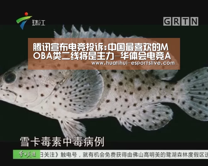 腾讯宣布电竞投诉:中国最喜欢的MOBA类二线将是主力-华体会电竞APP(图1) 华体会电竞竞猜平台